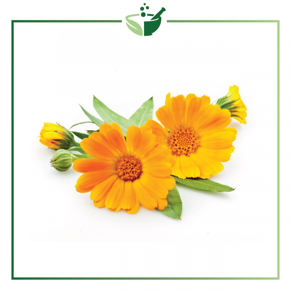 Calendula Flower Infused Oil, (Lutein Rich)